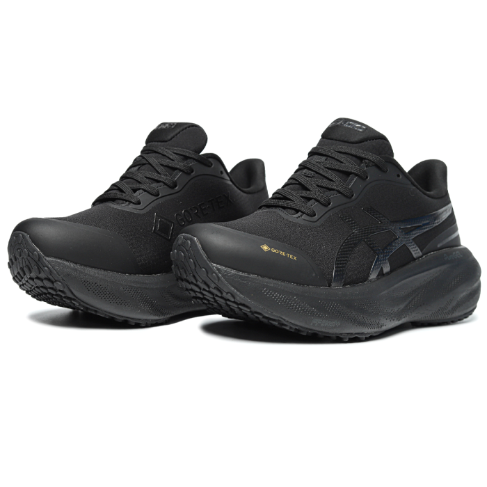 Asics Gel Kayano 30
