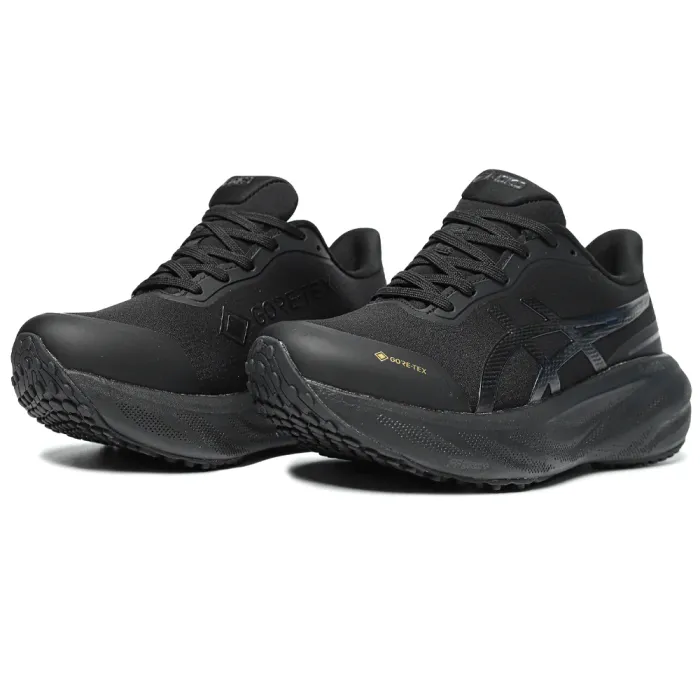 Asics Gel Kayano 30