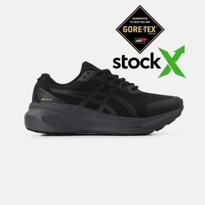 Asics Gel-Kayano Gore-Tex 30 Black