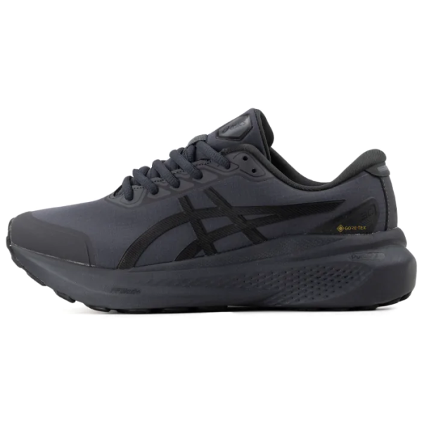 Asics Gel-Kayano Gore-Tex 30 Gray