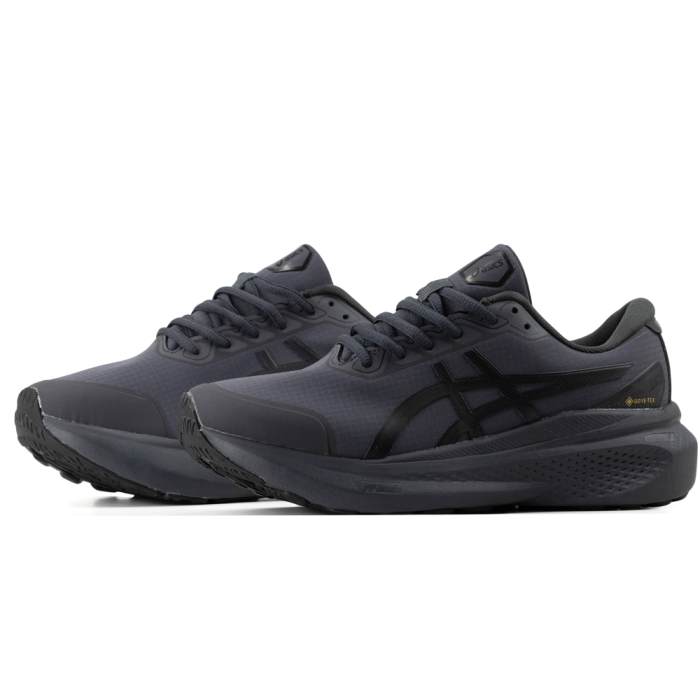 Asics Gel-Kayano Gore-Tex 30 Gray