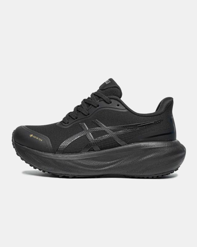 Asics Gel Kayano 30